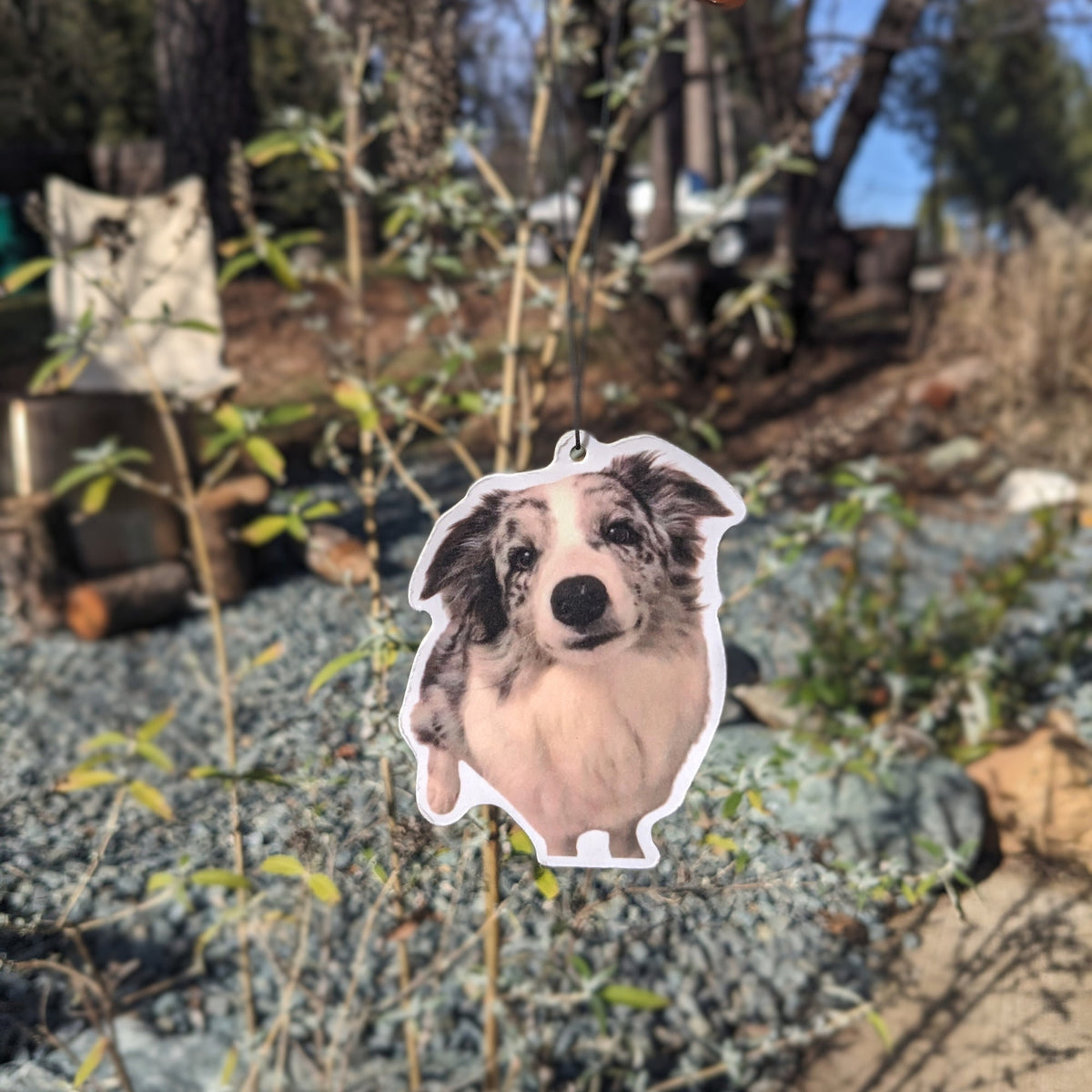 Personalized Cute Car Photo Car Air Freshies